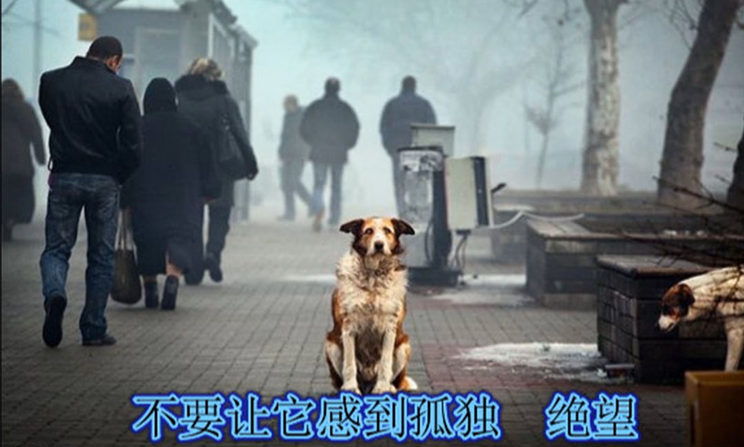 通辽通辽爱影圈微博微信转发案例